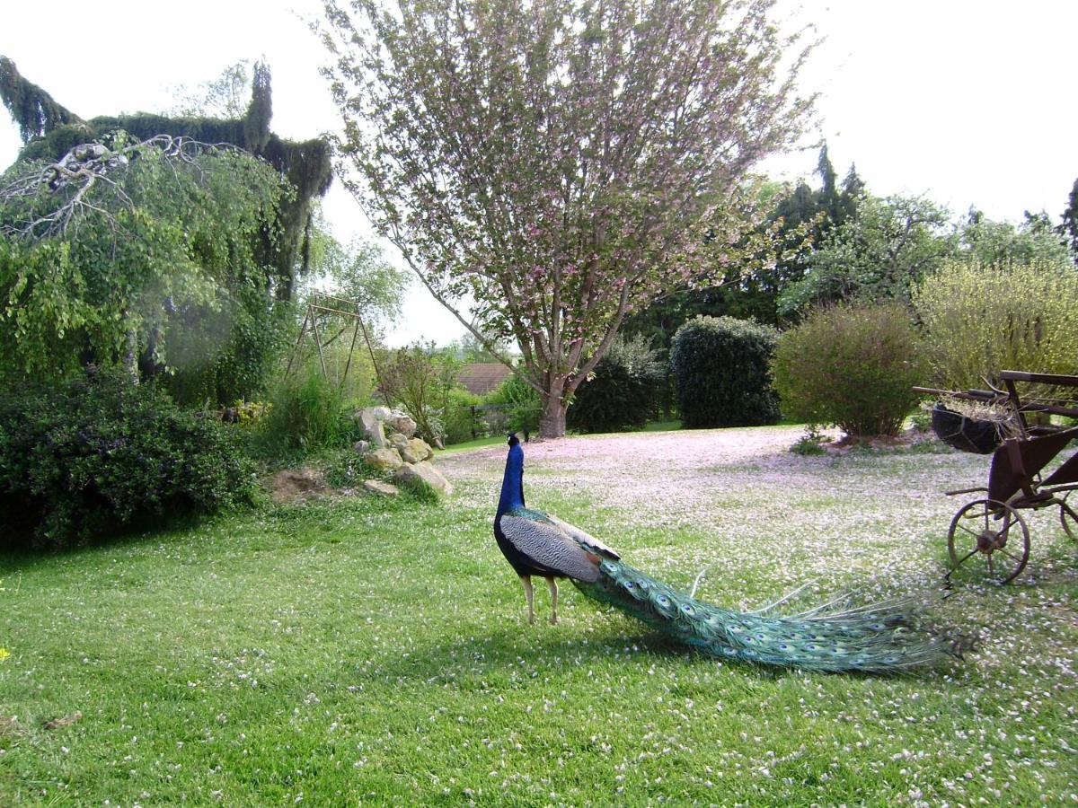 Bed and Breakfast La Ferme Du Bourg Eraines Exterior foto